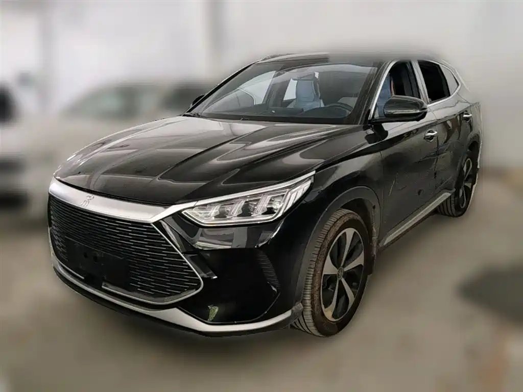 BYD PLUS New Energy 2022