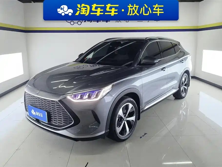 BYD PLUS New Energy 2021