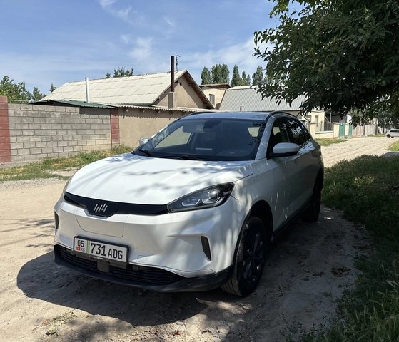 Weltmeister EX5 I Рестайлинг 2021