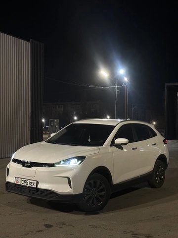 Weltmeister EX5 I 2020
