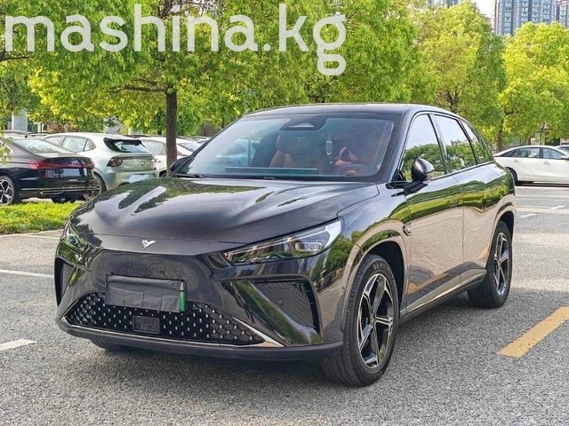 Hozon Neta L 2024