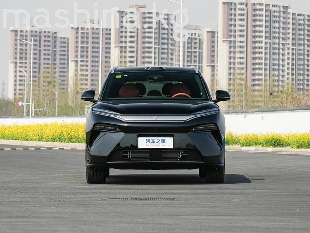 BYD Tang L 2025