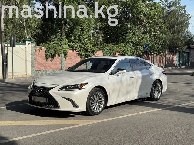 Lexus ES VII 2019