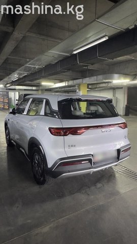 BYD Yuan Up 2025