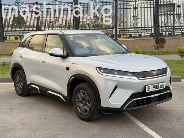 BYD Yuan Up 2025