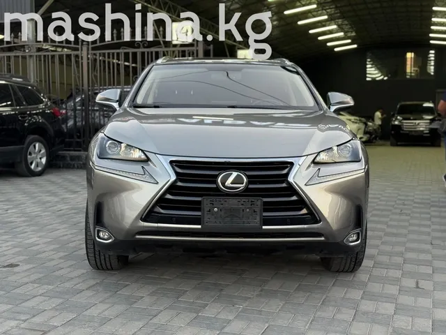 Lexus NX I 2017