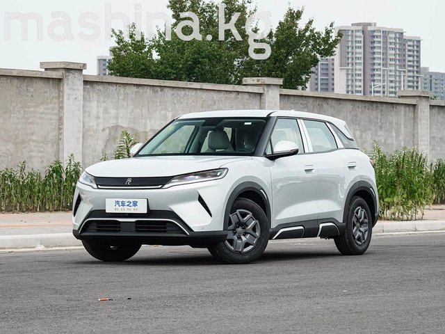 BYD Yuan Up 2025