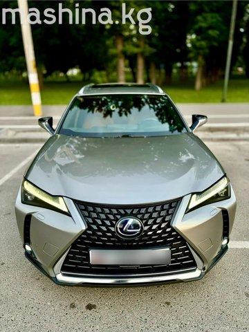 Lexus UX I 2019