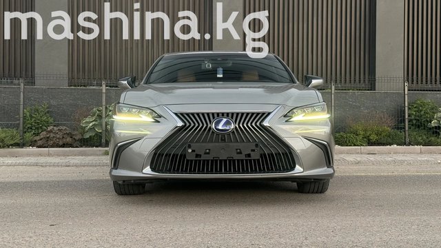 Lexus ES VII 2019