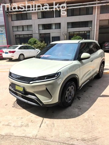 BYD Yuan Up 2025
