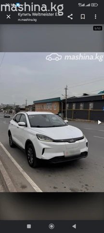 Weltmeister EX5 I 2020