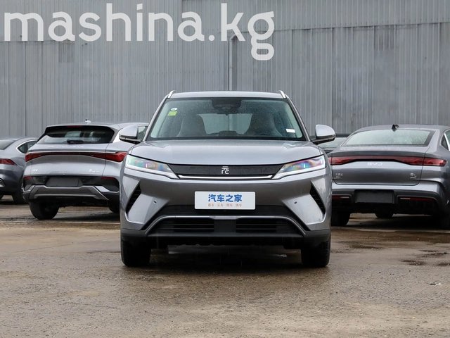 BYD Yuan Up 2024