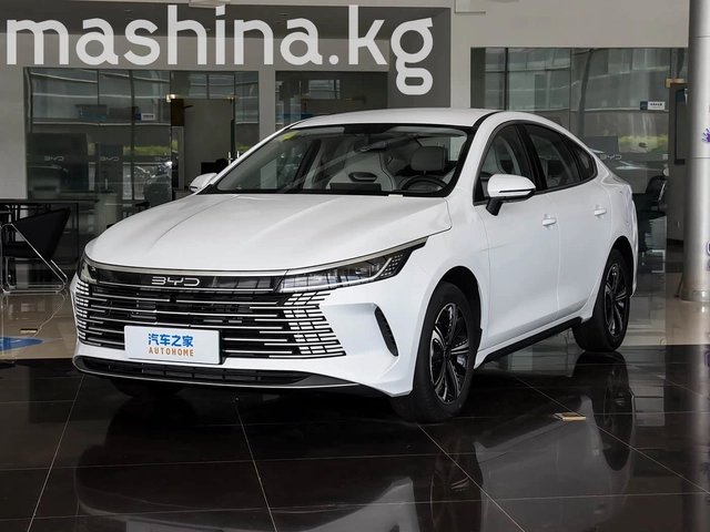BYD Destroyer 05 2025
