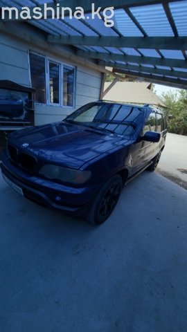 BMW X5 I (E53) 2002