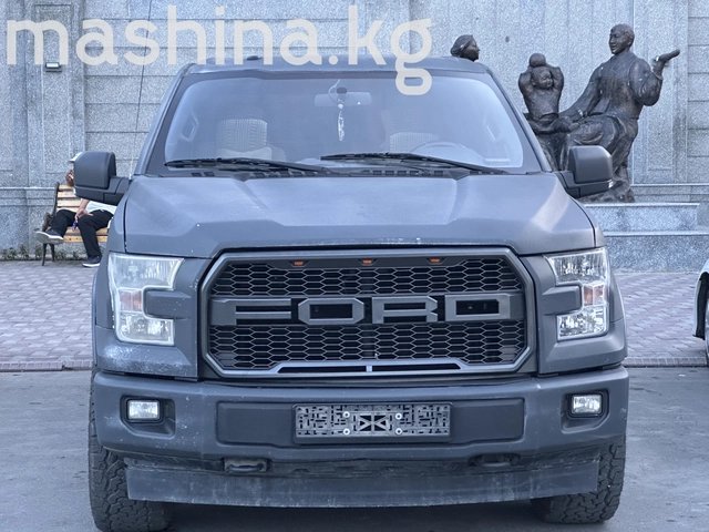 Ford F-150 XIII 2017