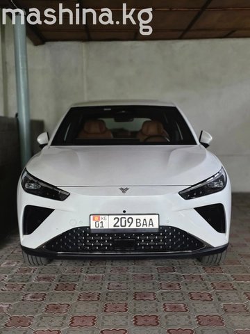 Hozon Neta L 2024