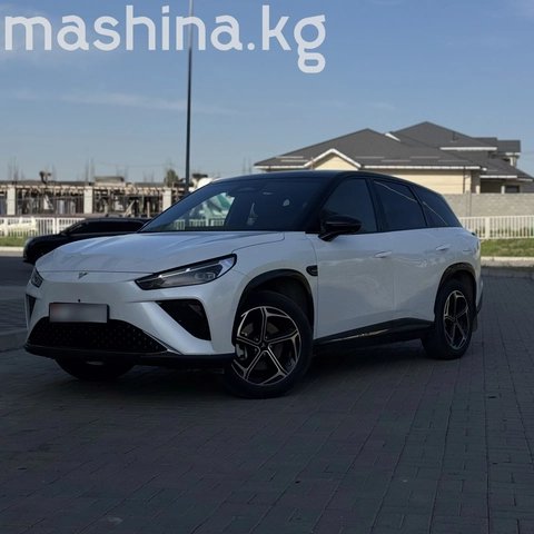 Hozon Neta L 2024