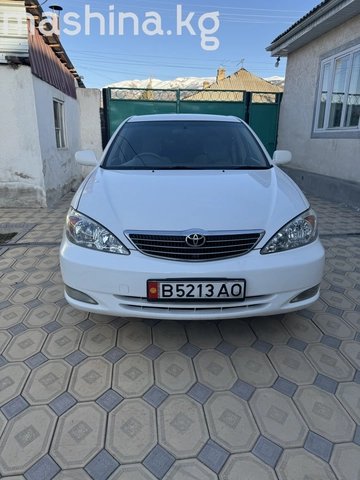 Toyota Camry V (XV30) 2003