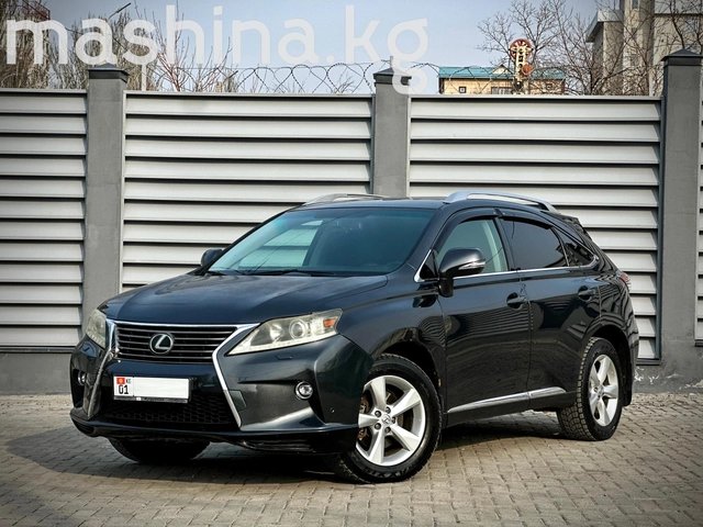 Lexus RX III 2009