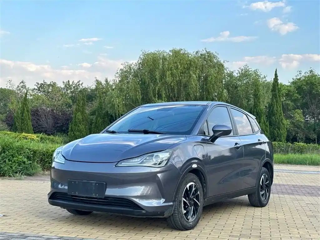 Neta Neta V 2021