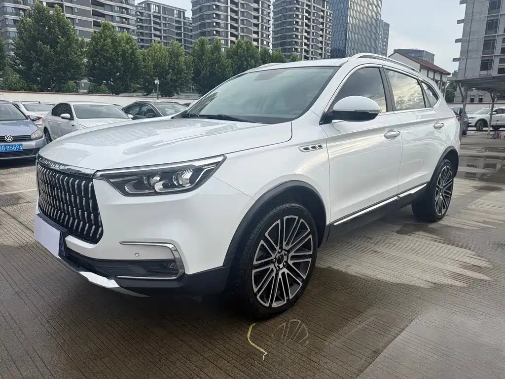Leopaard Mattu 2019