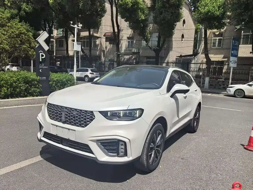 Wey Wey VV5 2020