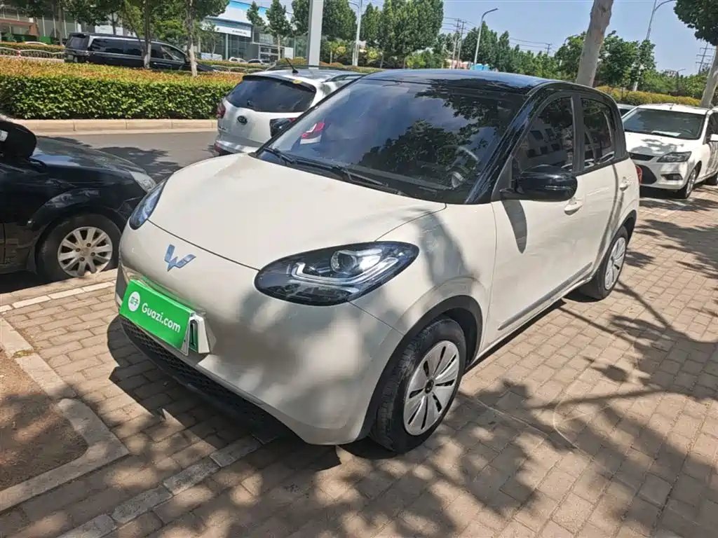 Wuling Bingo 2024