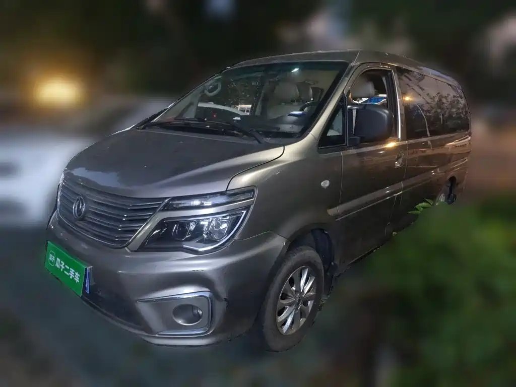 Fengxing Lingzhi 2019