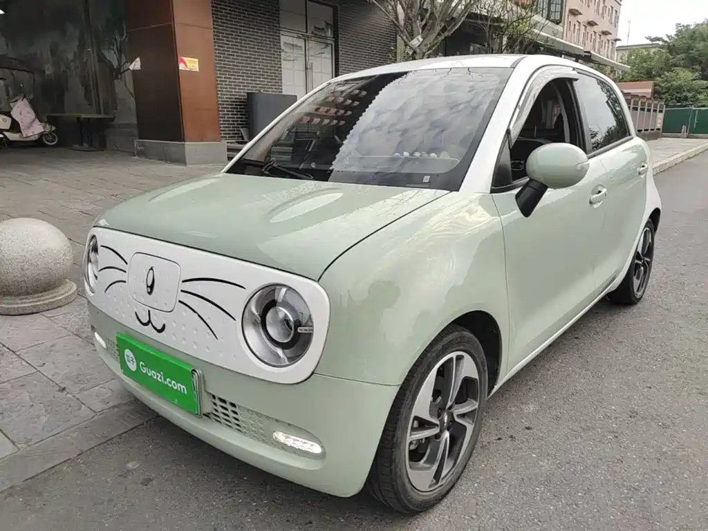 Ora Ora Black Cat 2022
