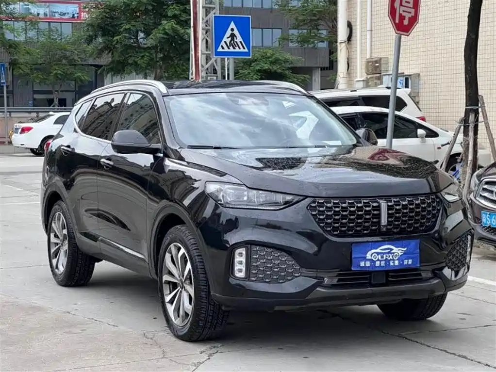 Wey Wey VV6 2020