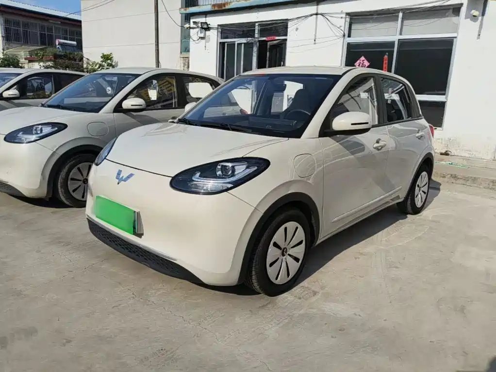 Wuling Bingo 2024