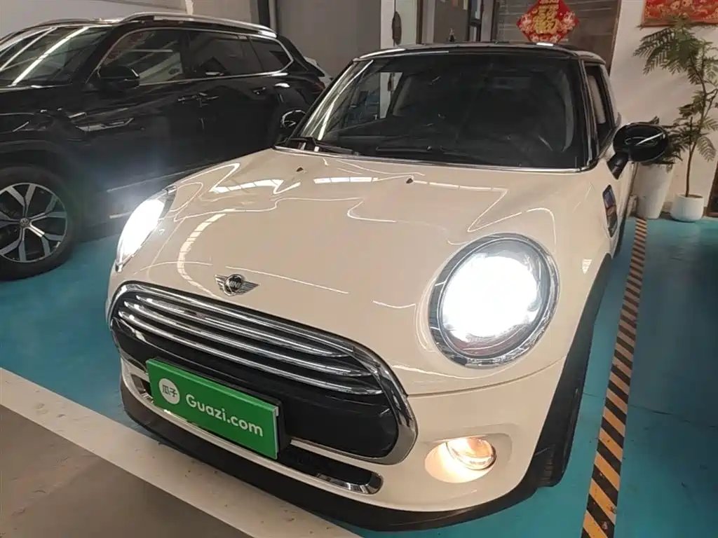 Mini Mini 2014