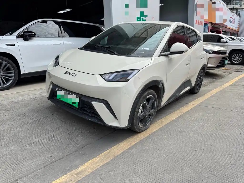 BYD Seagull 2024