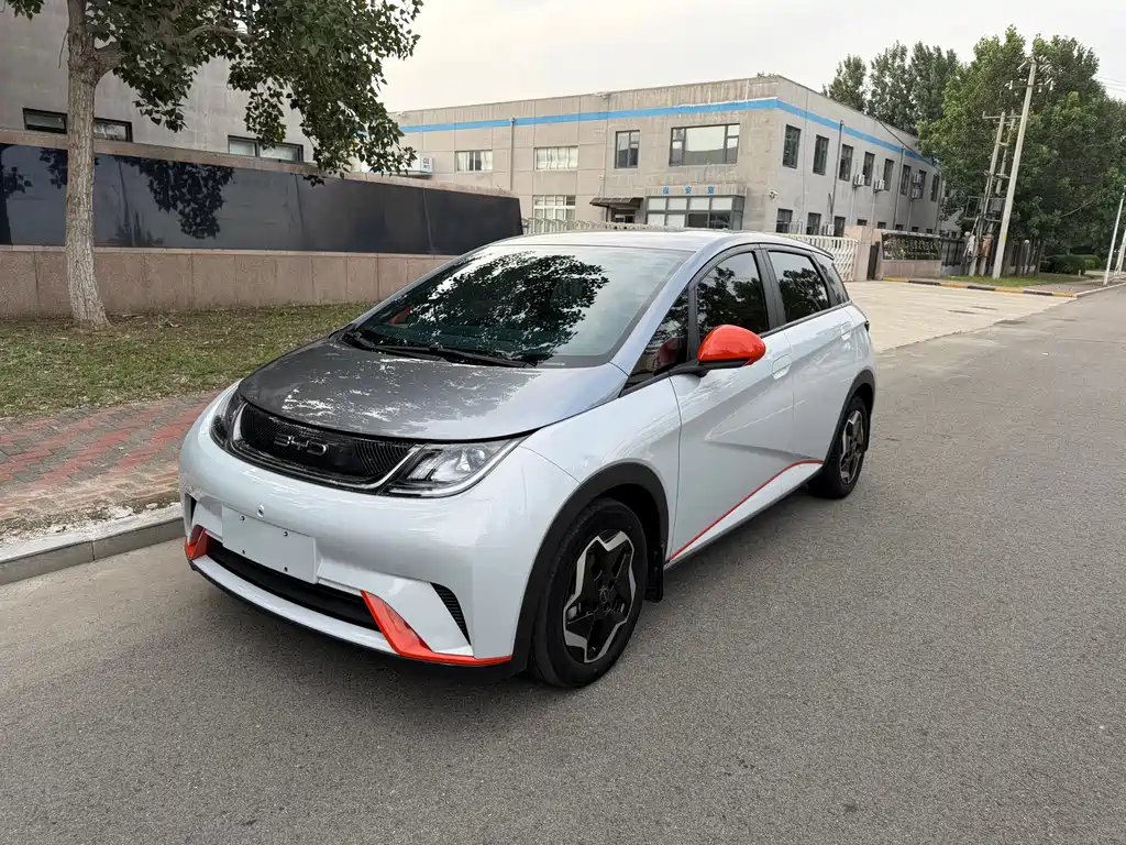 BYD Dolphin 2021