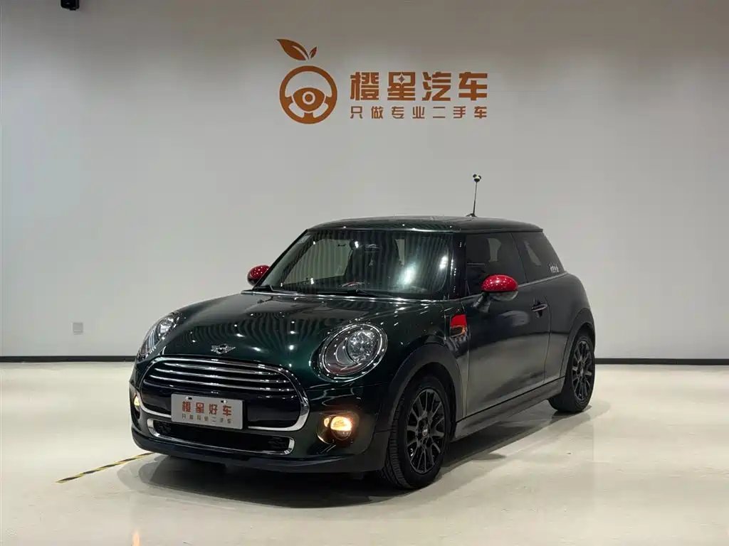 Mini Mini 2016