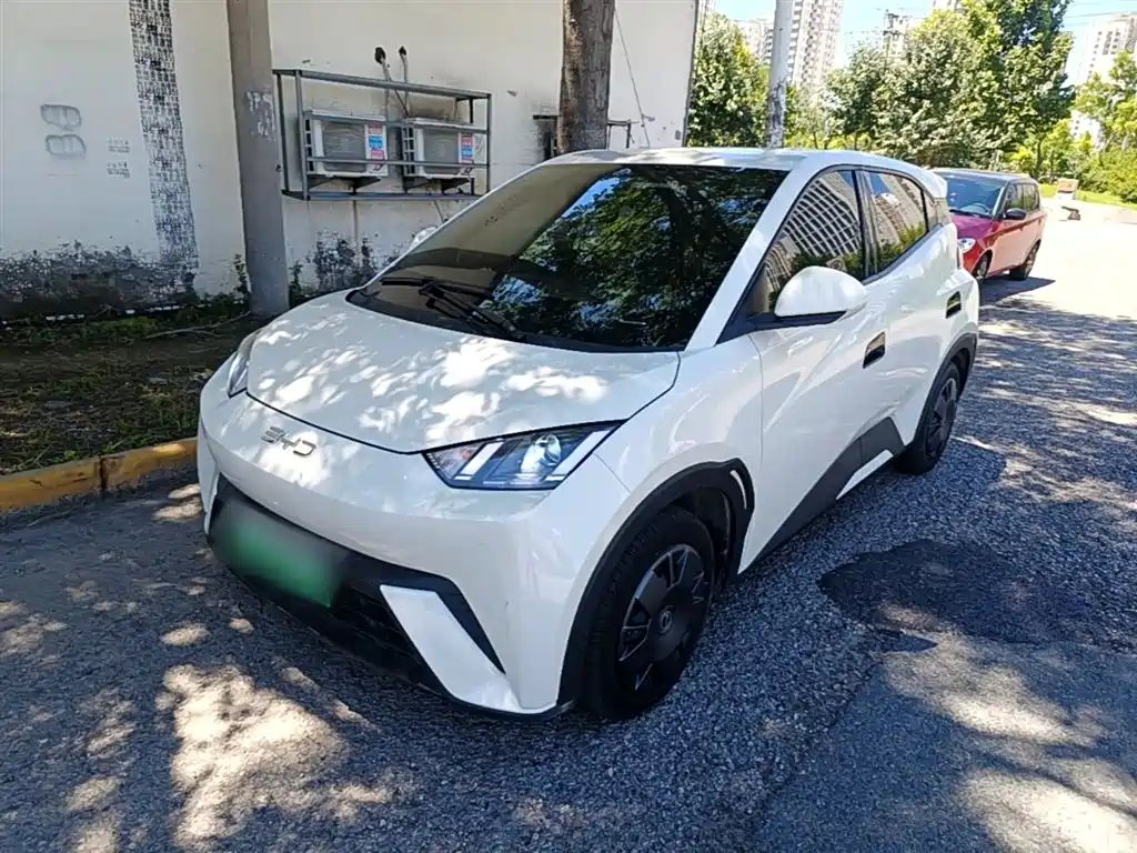 BYD Seagull 2024