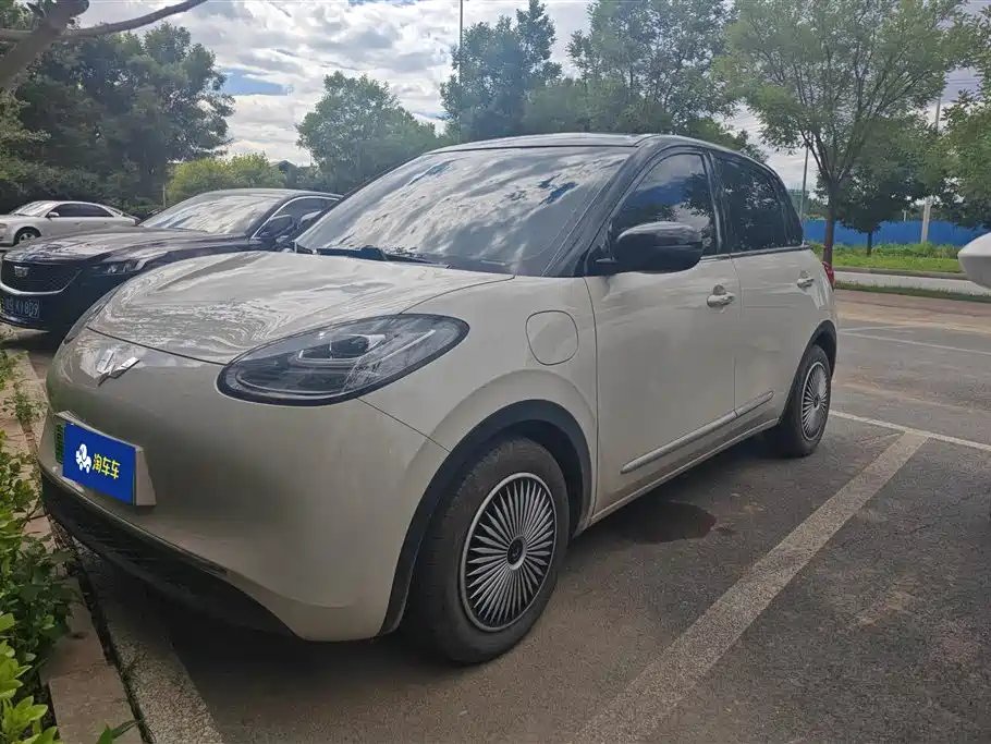 Wuling Bingo 2024