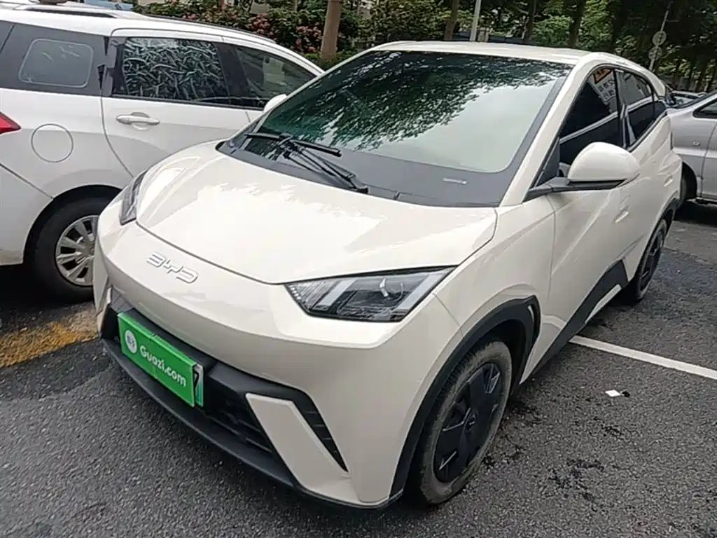BYD Seagull 2024