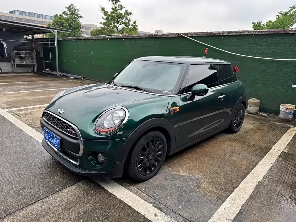 Mini Mini 2017
