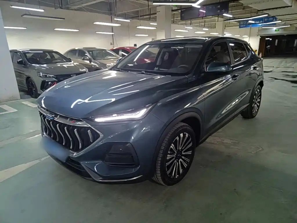 Oshan Oushang X5 2021