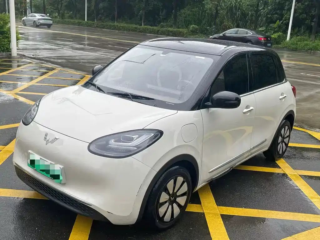 Wuling Bingo 2024