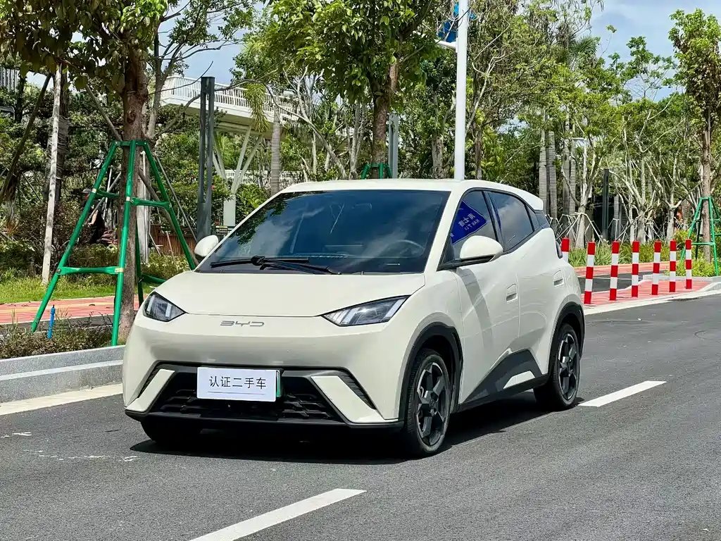 BYD Seagull 2024