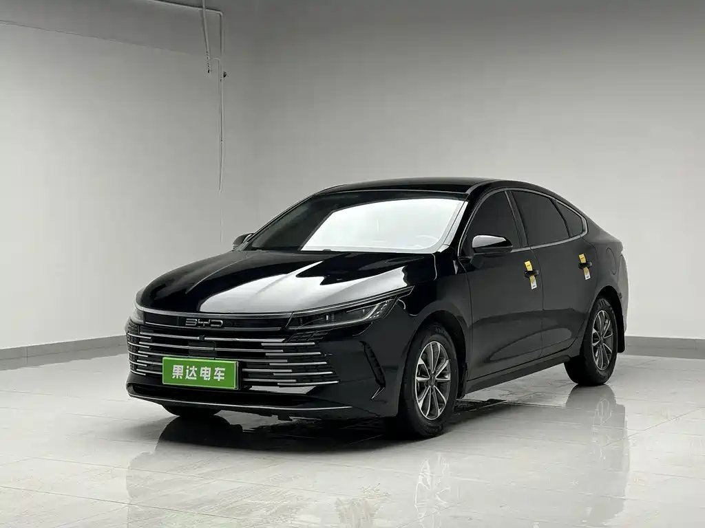 BYD Destroyer 05 2024