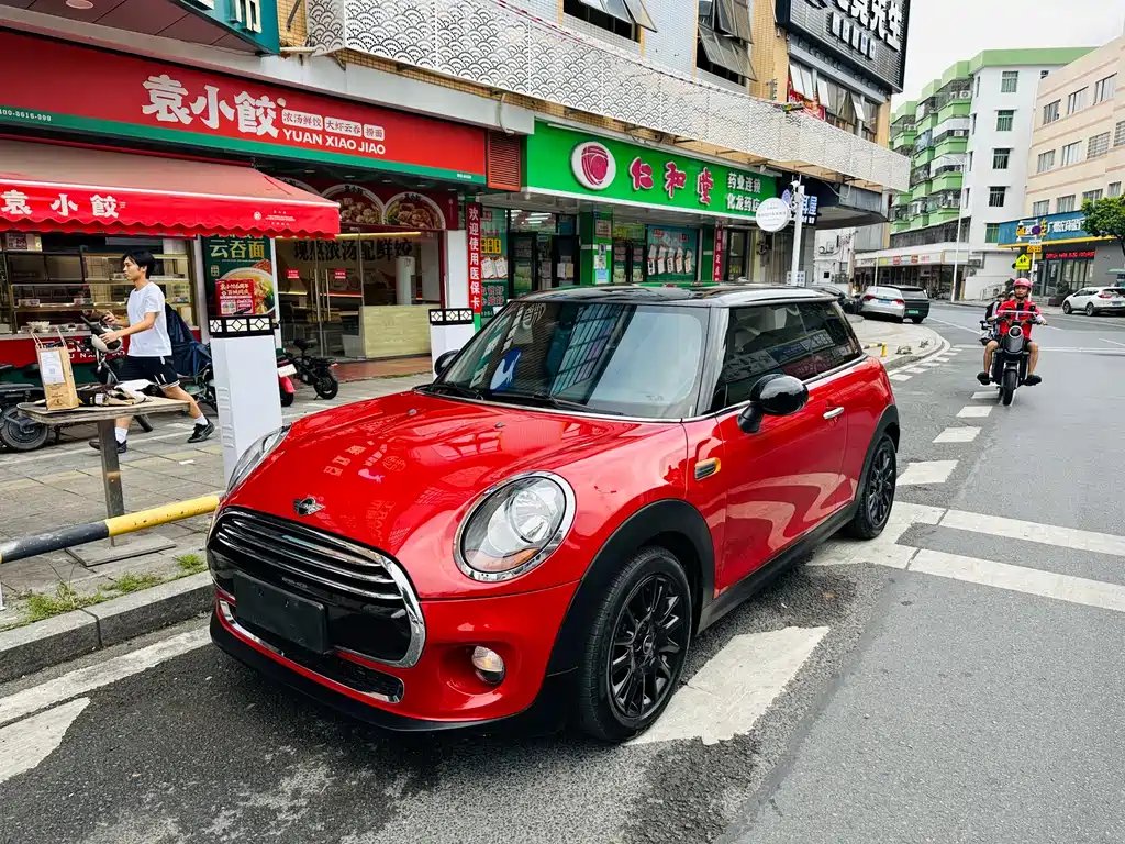 Mini Mini 2016