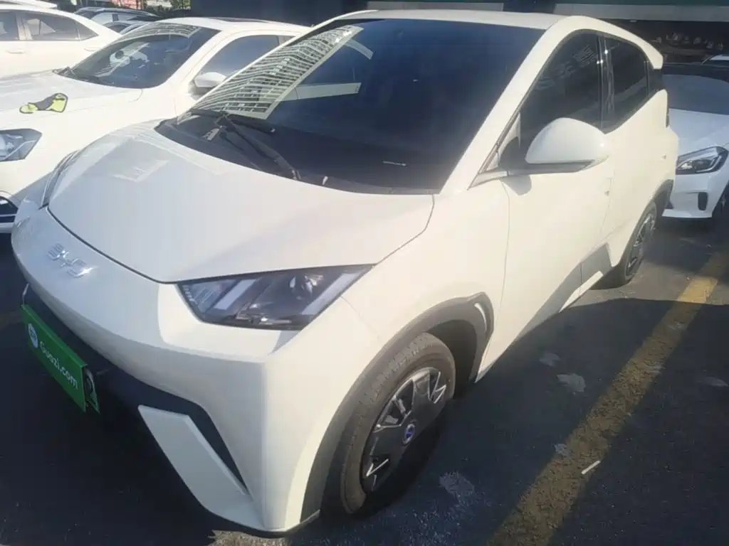 BYD Seagull 2024