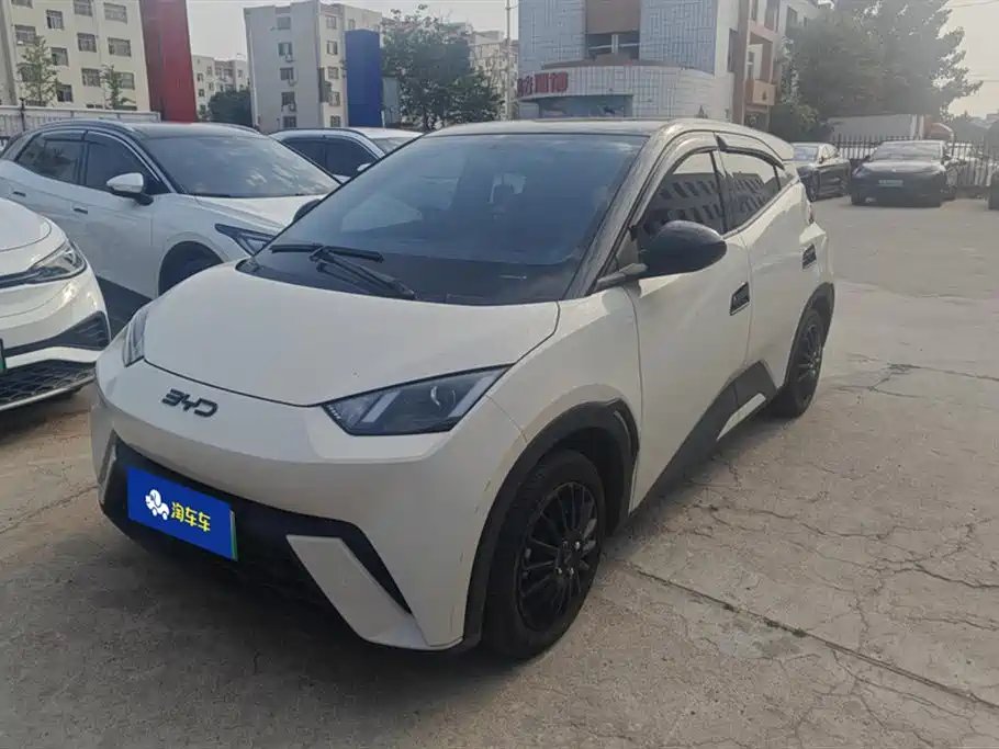BYD Seagull 2024