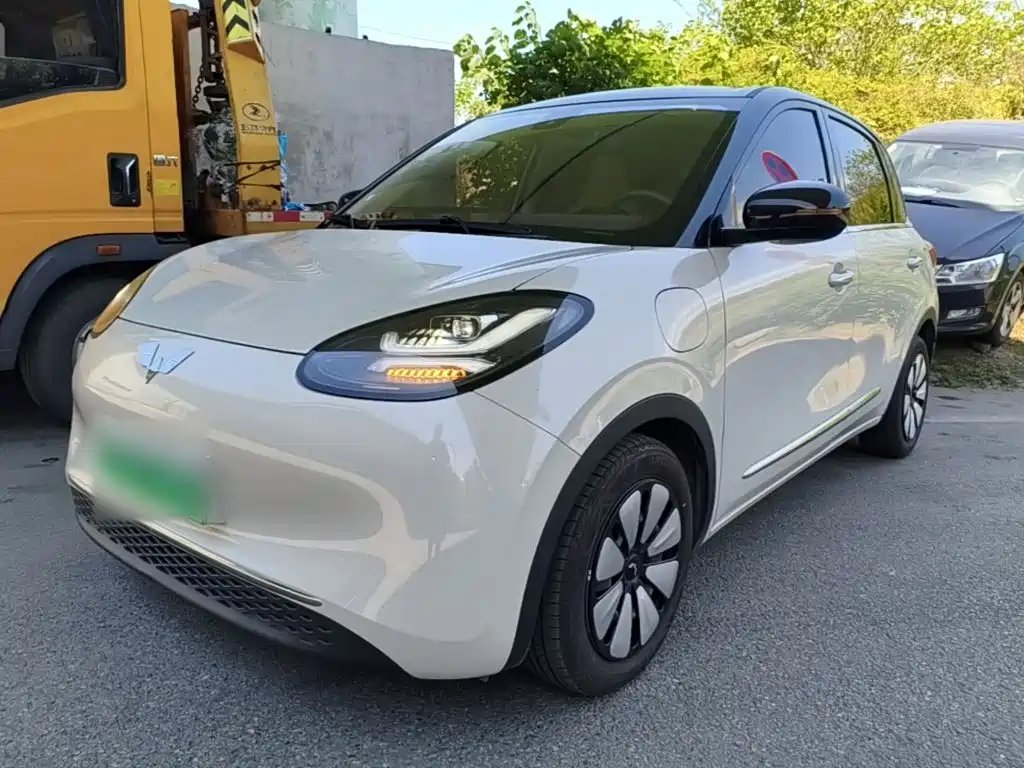 Wuling Bingo 2024