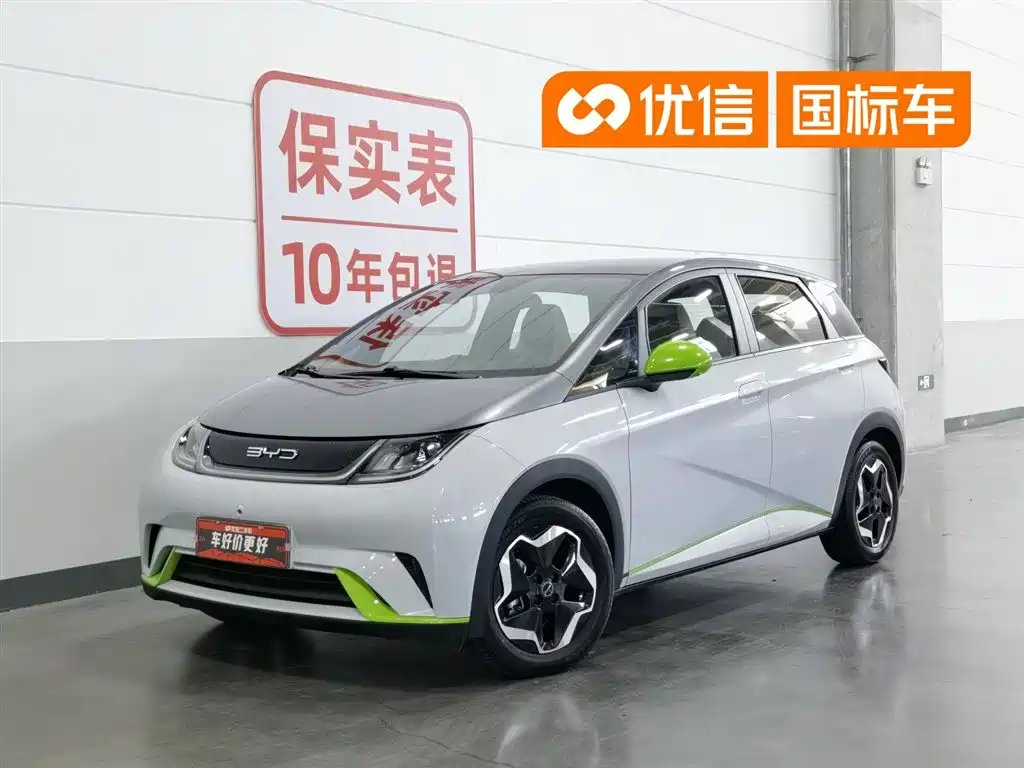 BYD Dolphin 2021