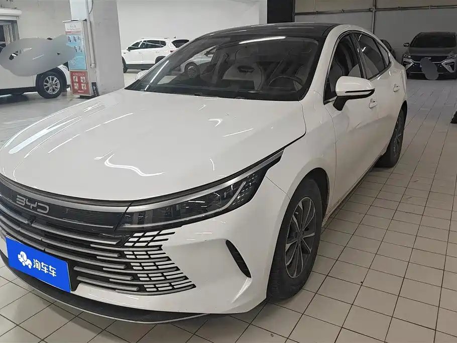 BYD Destroyer 05 2024