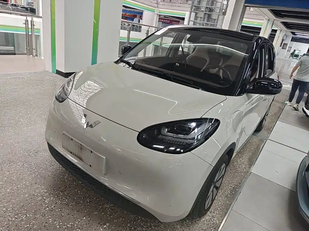 Wuling Bingo 2024